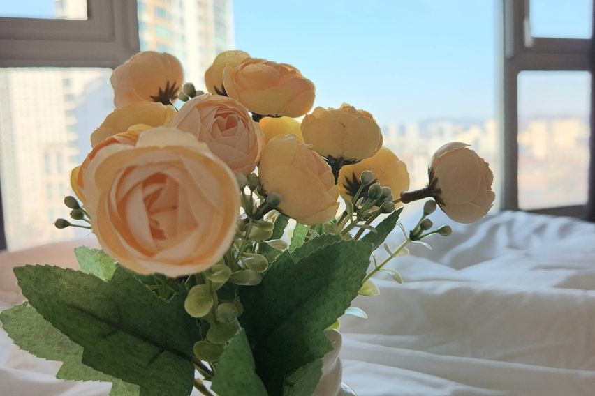 라라하우스 정자역1분