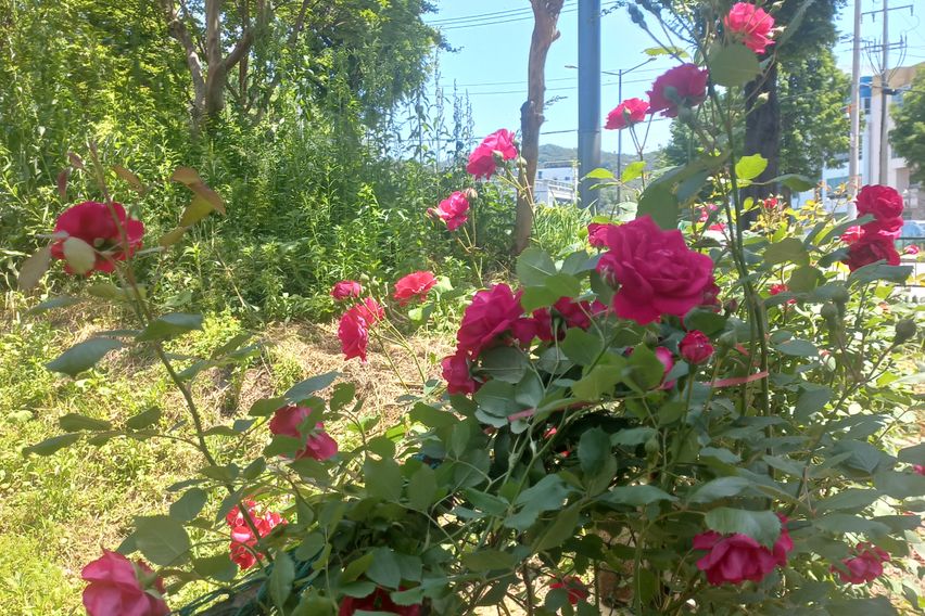 광주 솔로몬의 방 8번째 이미지