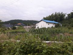 A quiet house with a spacious yard. 10th image