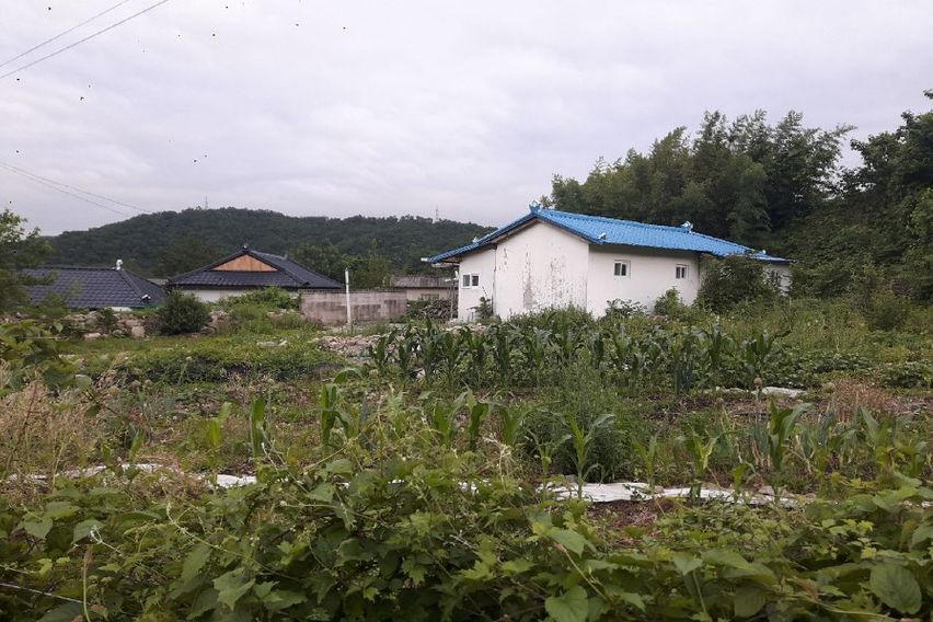 마당 넓고 조용한 집 10번째 이미지