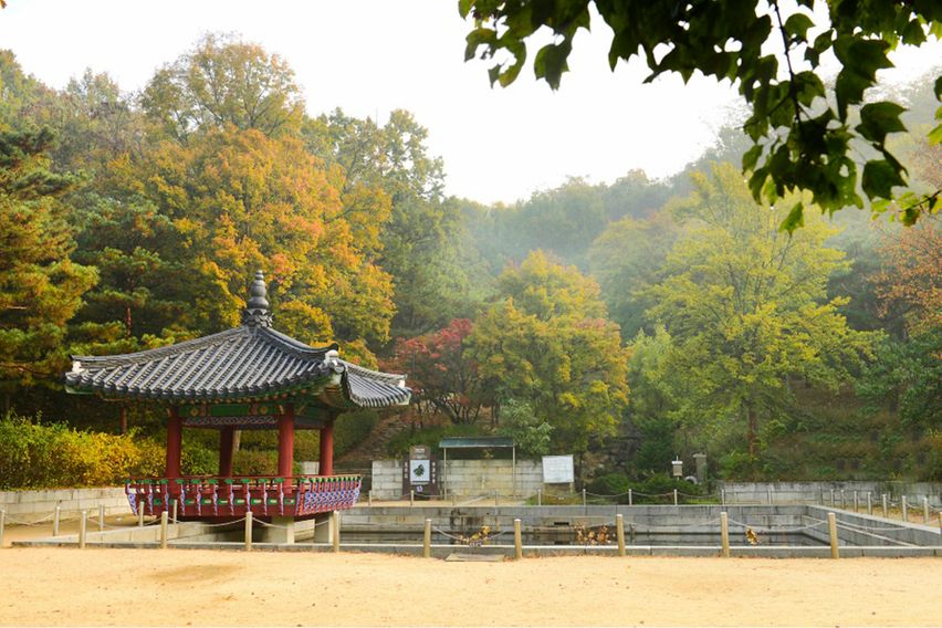 국립암센터5분,밤리단길