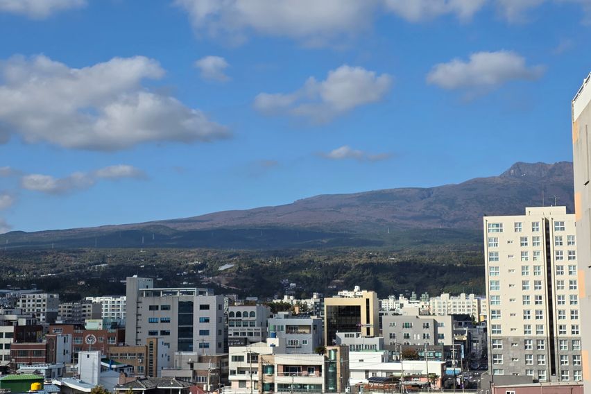 제주/서귀포/올레시장