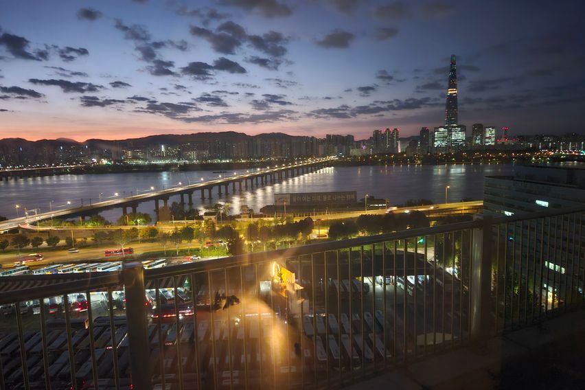 한강뷰 with 고양이