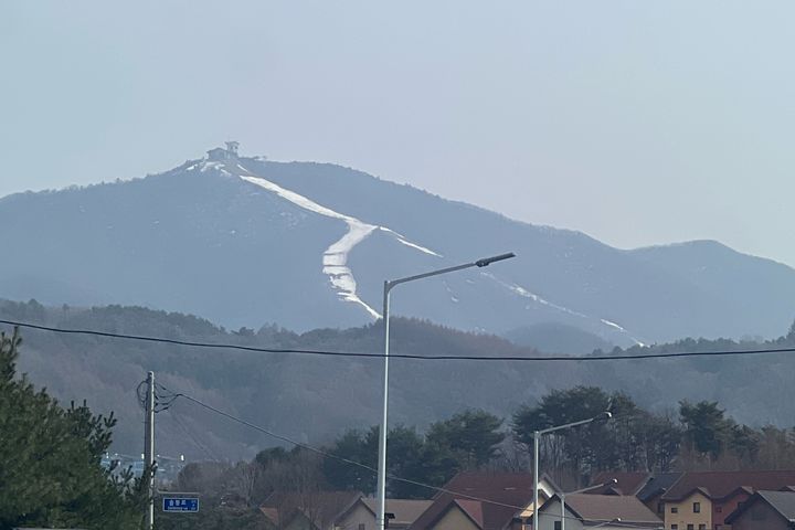 ⛷️대관령용평&알펜시아🐏 11번째 이미지
