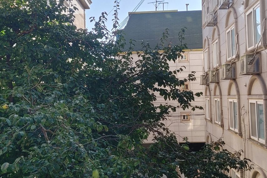 신림역삼성역홍대역2호선 6번째 이미지