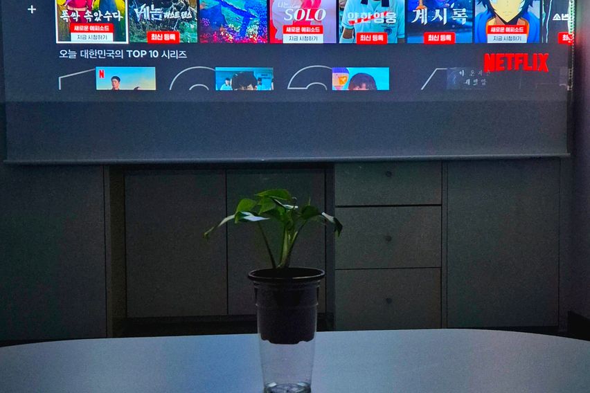 코지 스튜디오 비즈니스