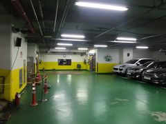 신사 한강 가로수강남 10번째 이미지