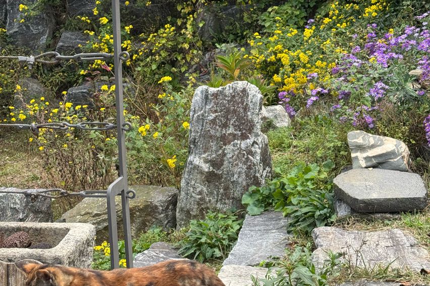 🌿용인 광교산 자연주택 12번째 이미지