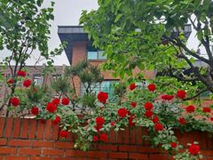 Jongno, Buam-dong, beautiful yard, forest-vie 0th image