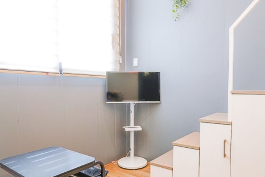 미금/정자🐕댕냥이OK