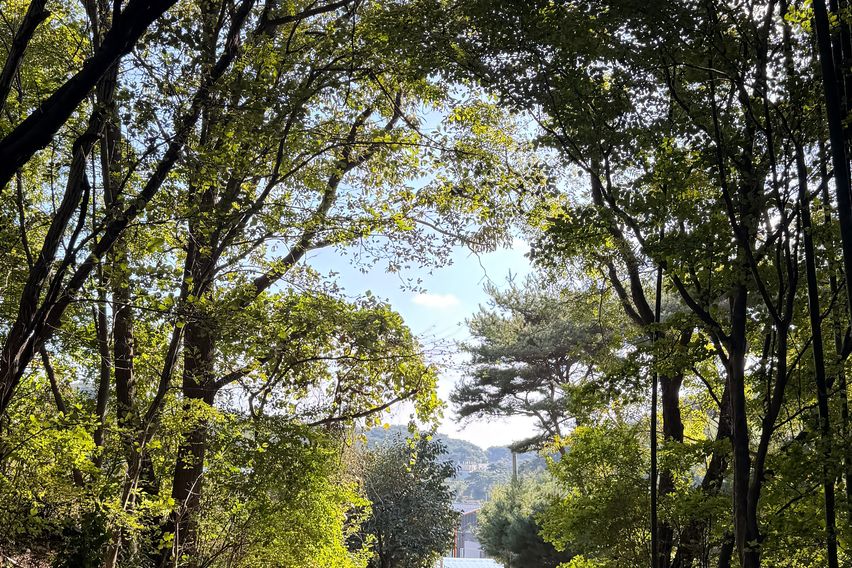 안면도소나무숲속원룸3호 12번째 이미지