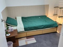 포레스트 in 임학 6번째 이미지