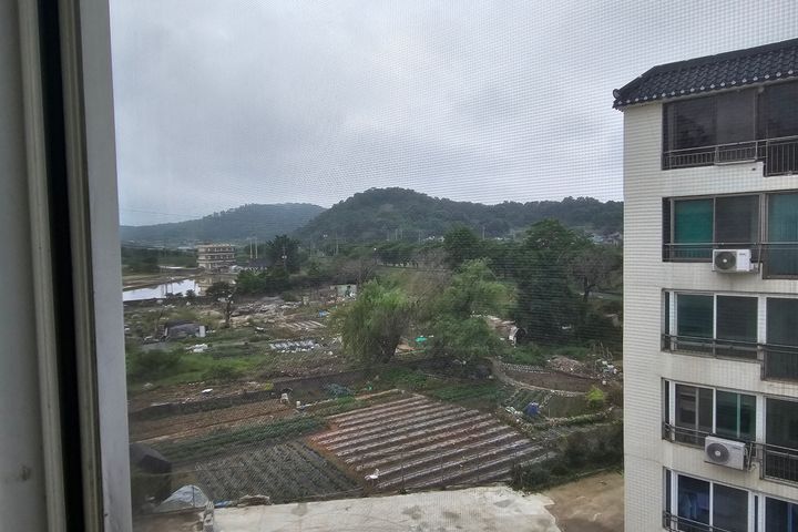 코스모스 9번째 이미지