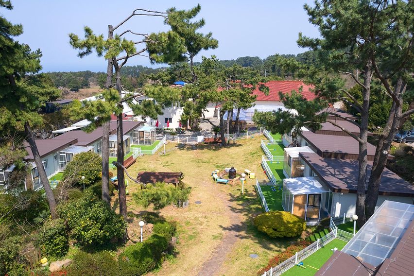 애월.애견천국1.5룸 10번째 이미지