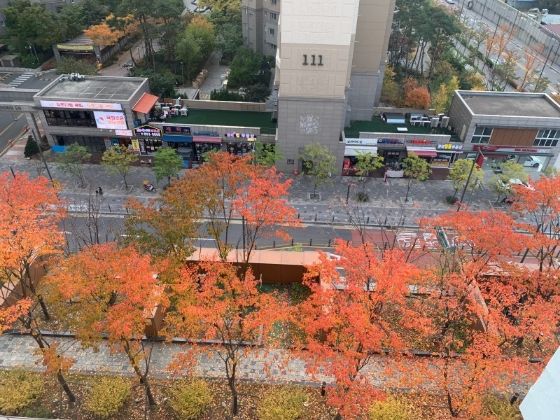 ❤️금천롯데캐슬 오피스