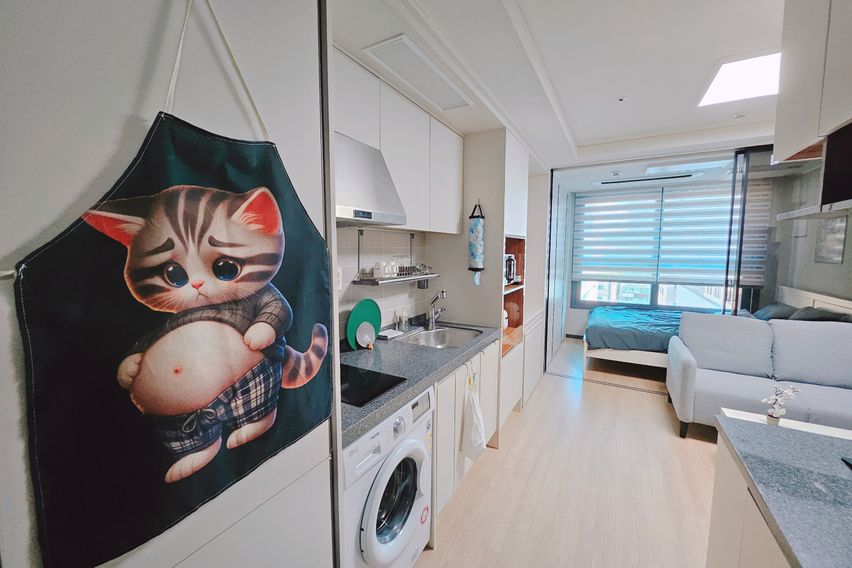 일산 주엽역 풀옵션🩷