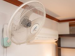 하니스테이 5번째 이미지