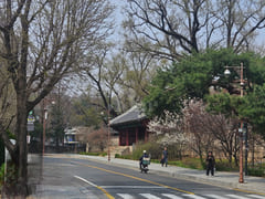 1 minute to Sungkyunkwan University / 7 minut 19th image