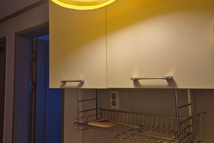 (최대3인)반려동물가능