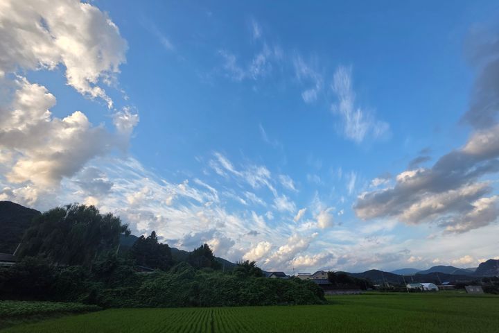 Gapyeong Majang 15th image