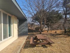 로즈마리 1번째 이미지