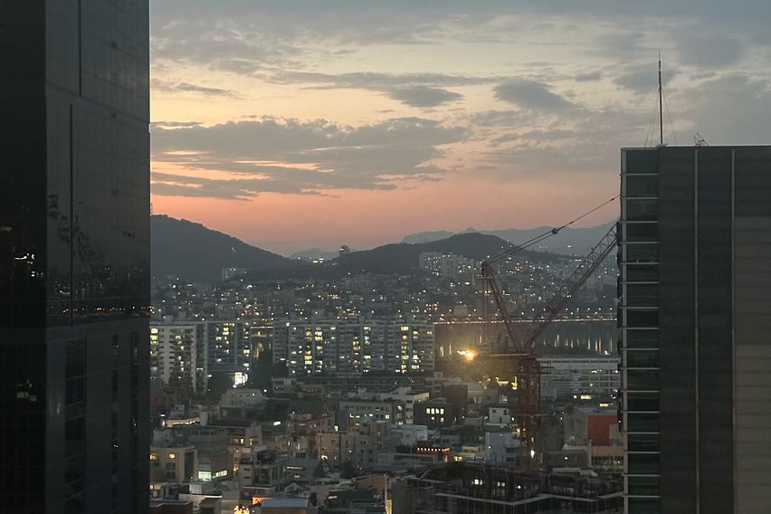 5분👋신사가로수압구정