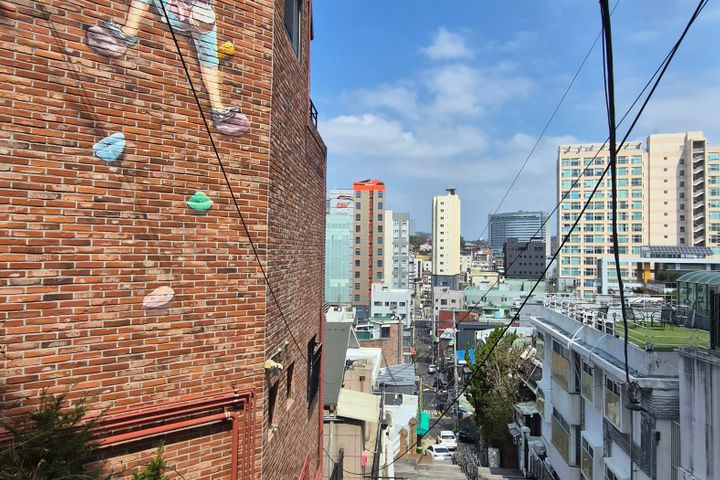 표표게스트 0번째 이미지