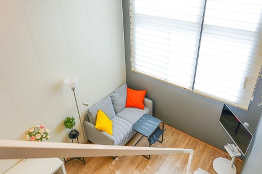 미금/정자🐕댕냥이OK