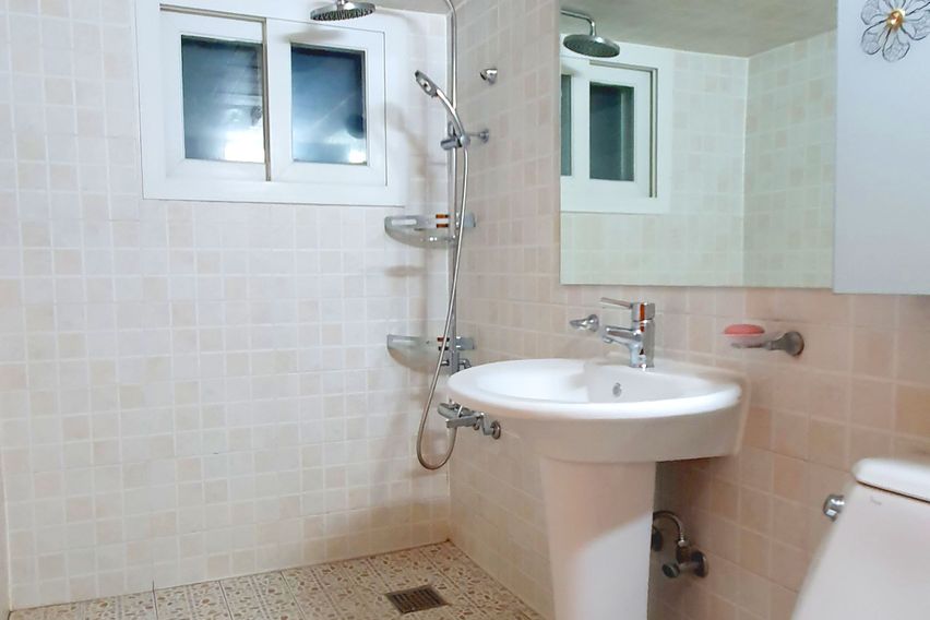 제주조아 11번째 이미지