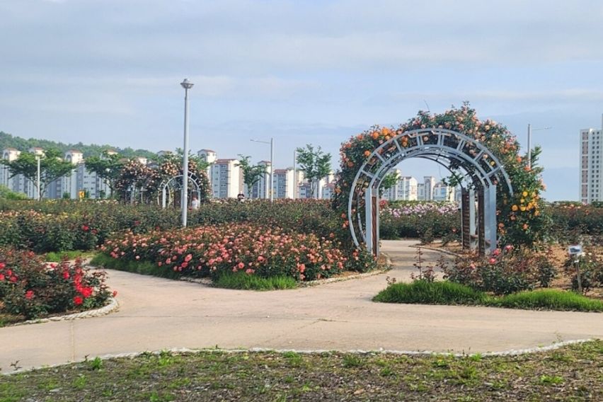  오션뷰 핫플 스위트룸 14번째 이미지