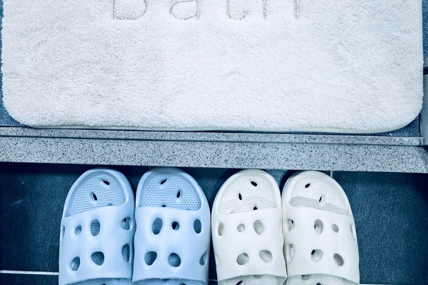 ❤️인덕원 과천/애견동반