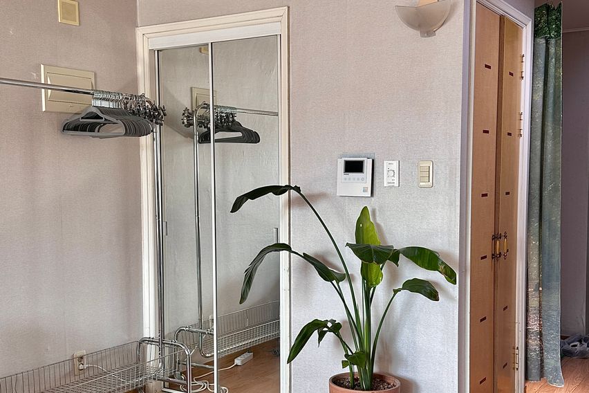 정발산역/암센터 인근🧡