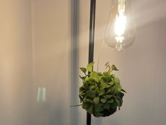 에스콘디테. no1 9번째 이미지