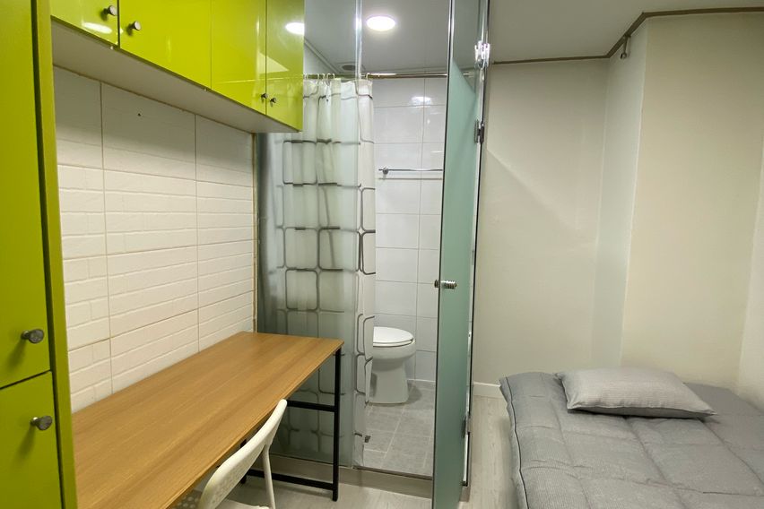 11호 3번째 이미지