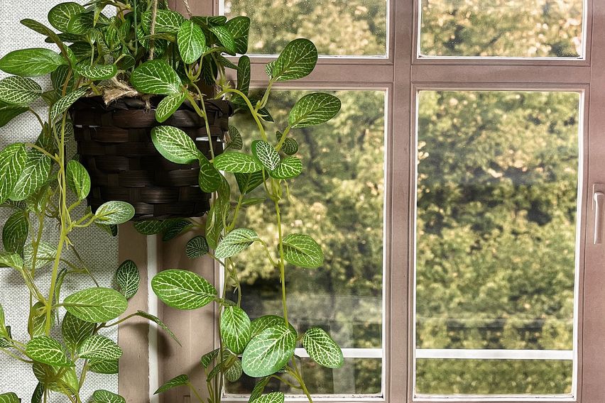 이벤트)전북대병원 1분