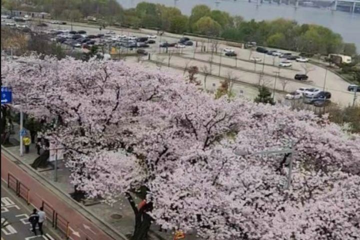 한강뷰 끝판왕 17번째 이미지