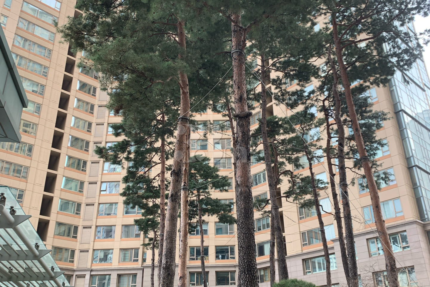잠실 갤러리아 하우스 0번째 이미지