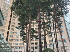 Jamsil Galleria House 0th image