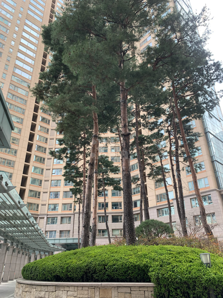 잠실 갤러리아 하우스 방 이미지