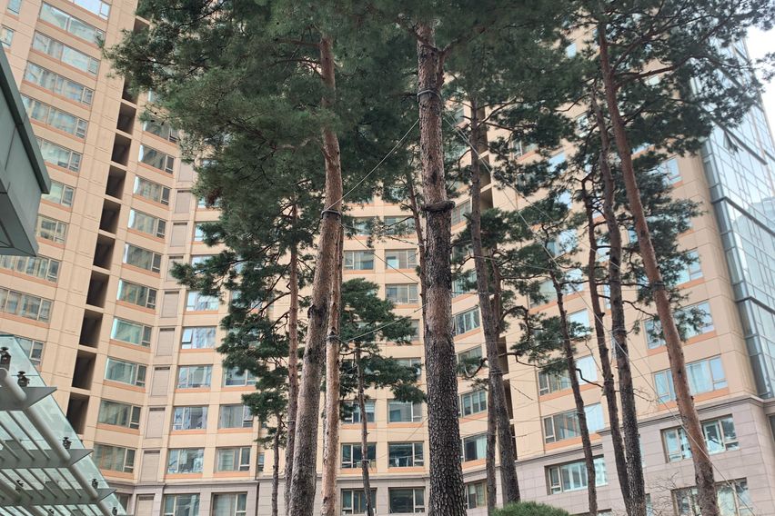 잠실 갤러리아 하우스 0번째 이미지