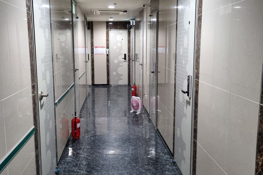 고고스테이 C타입