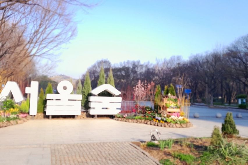 🌳서울숲30초 성수동 18번째 이미지