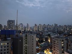 🎯종로성수주차무료반려견 15번째 이미지