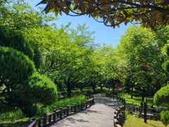 숲세권에서 힐링을 🌿 1번째 이미지