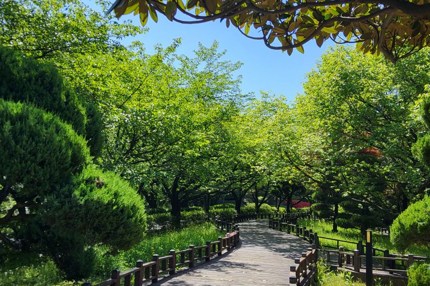 숲세권에서 힐링을 🌿 0번째 이미지