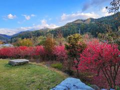 산중愛 홍천 5번째 이미지