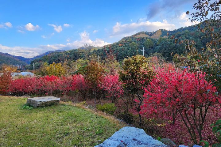 산중愛 홍천 5번째 이미지