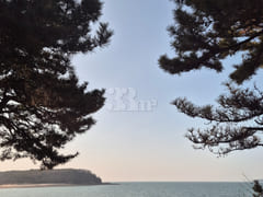영종도.하늘도시.공항 11번째 이미지