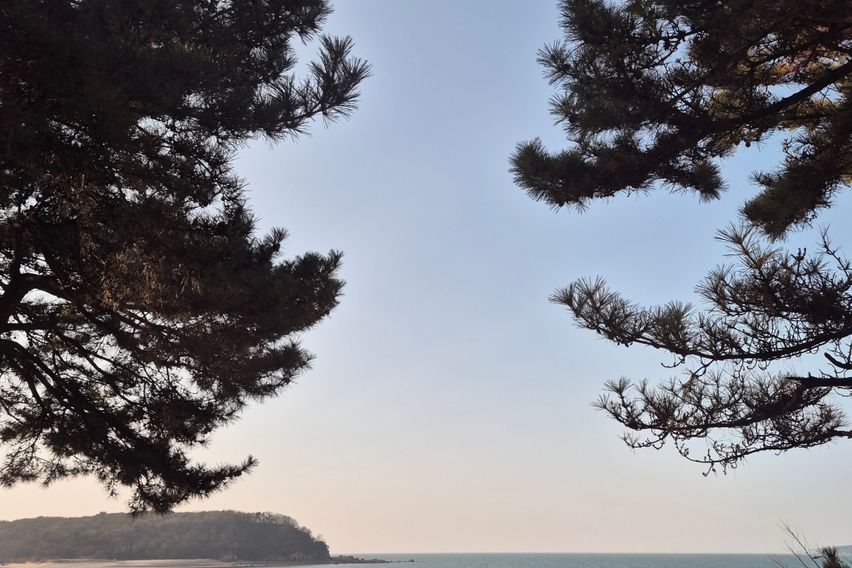 영종도.하늘도시.공항