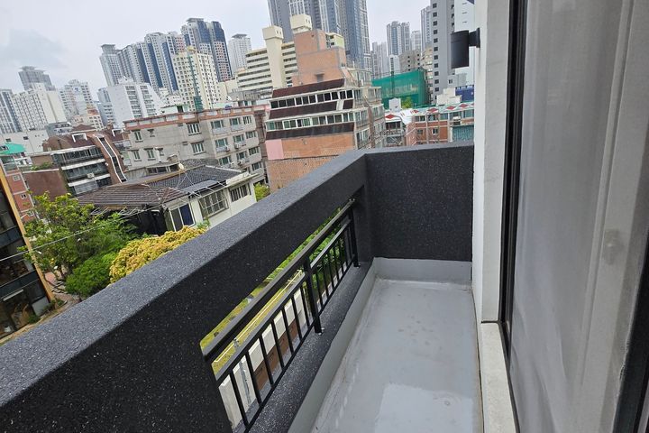 민들레 53 11번째 이미지